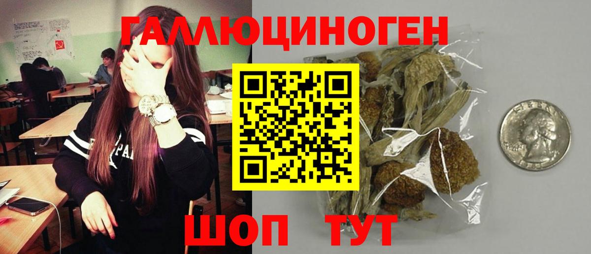 Галлюциногенные грибы Magic Shrooms Ахтубинск