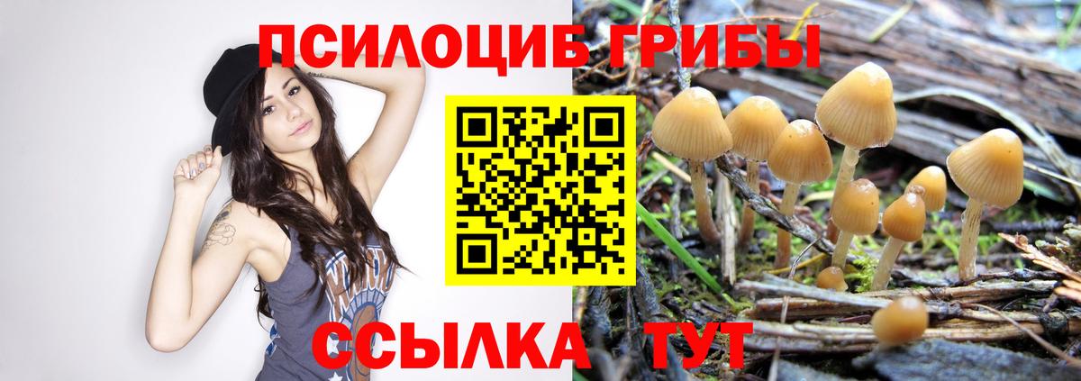 что такое   Псилоцибиновые грибы ЛСД  Ахтубинск  Вход с VPN  Галлюциногенные грибы прущие грибы 